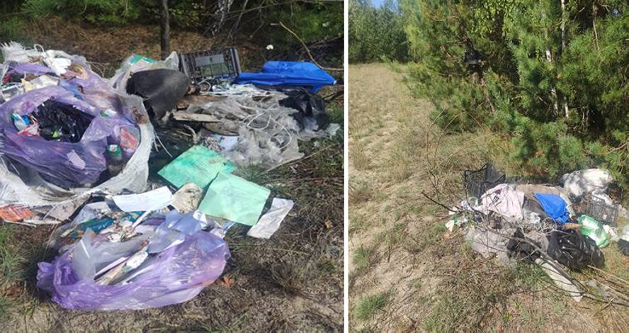 В Брестской области мужчина выбросил мусор в лес и… получил большой штраф