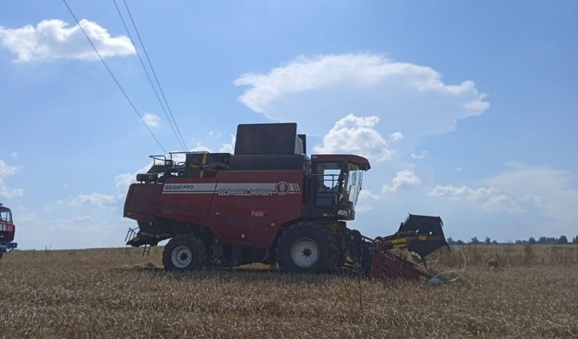 Жуткая трагедия: работник сельхозпредприятия зацепился за провода ЛЭП и получил удар током, а затем упал в жатку комбайна