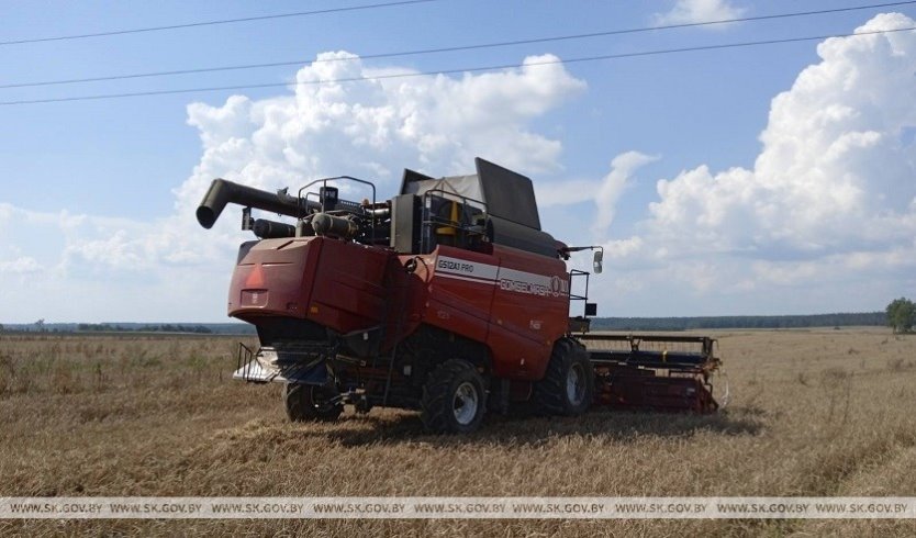 Жуткая трагедия: работник сельхозпредприятия зацепился за провода ЛЭП и получил удар током, а затем упал в жатку комбайна