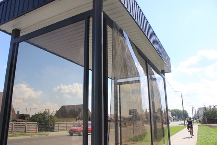 Маленькие жители города Ганцевичи камнями и палками поколотили инсталляцию зубра