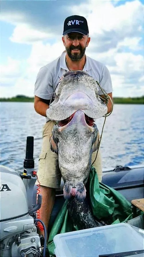 Белорус поймал в Днепре сома-гиганта