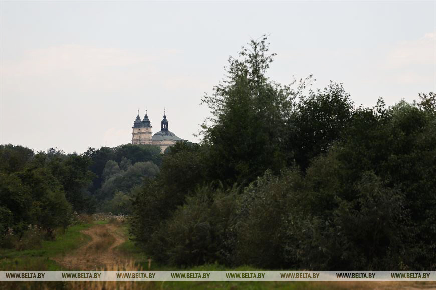 Поля с озимыми - до самых границ: в Брестском районе завершают сев рапса
