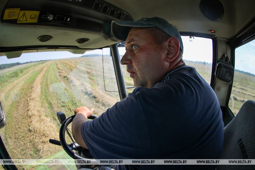 Поля с озимыми - до самых границ: в Брестском районе завершают сев рапса
