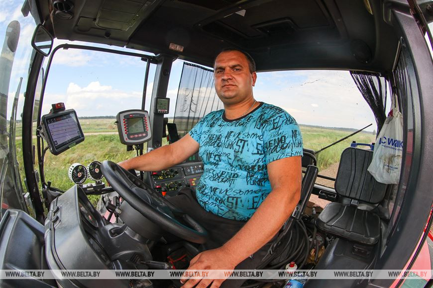 Поля с озимыми - до самых границ: в Брестском районе завершают сев рапса