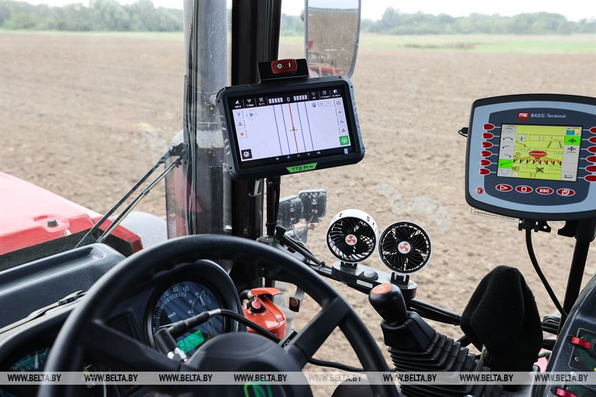 Поля с озимыми - до самых границ: в Брестском районе завершают сев рапса