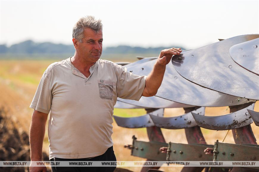 Поля с озимыми - до самых границ: в Брестском районе завершают сев рапса