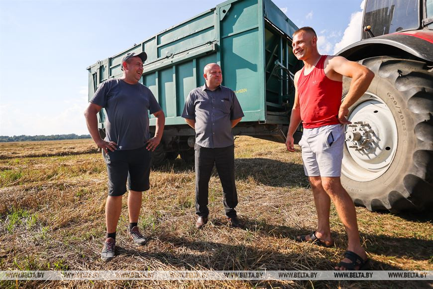 Поля с озимыми - до самых границ: в Брестском районе завершают сев рапса