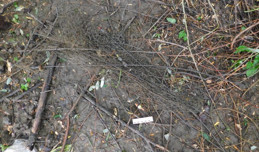 Трагедия на воде: в Столинском районе за прошедшую неделю утонули два рыбака