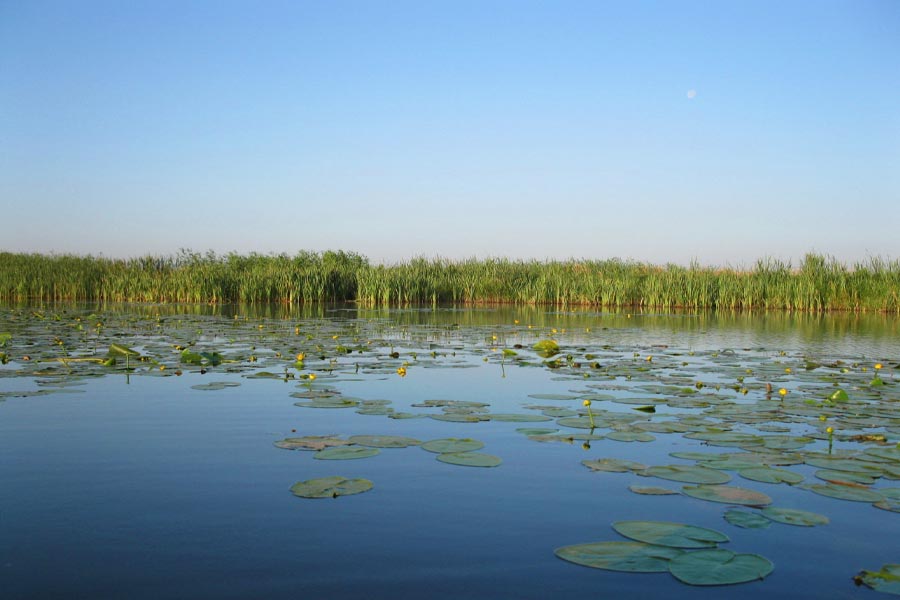 Выбрали 7 белорусских озер, где должен побывать каждый