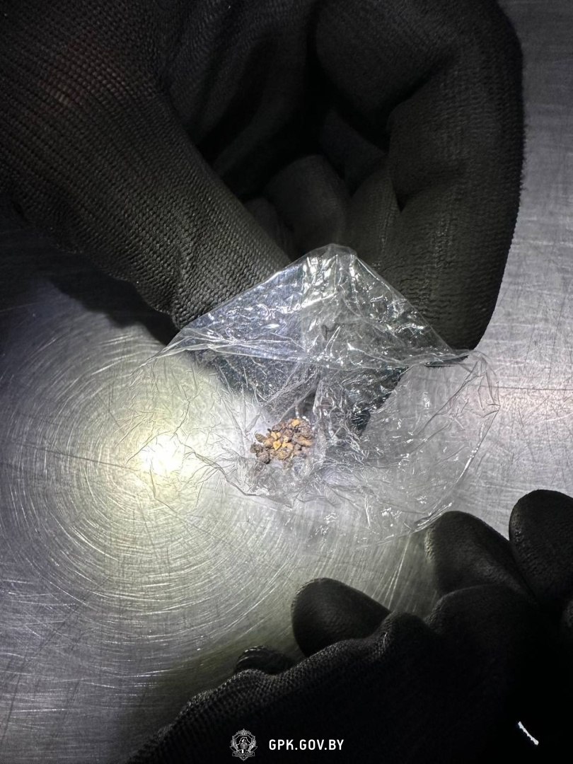 На границе в Бресте задержан украинец. Вот что произошло