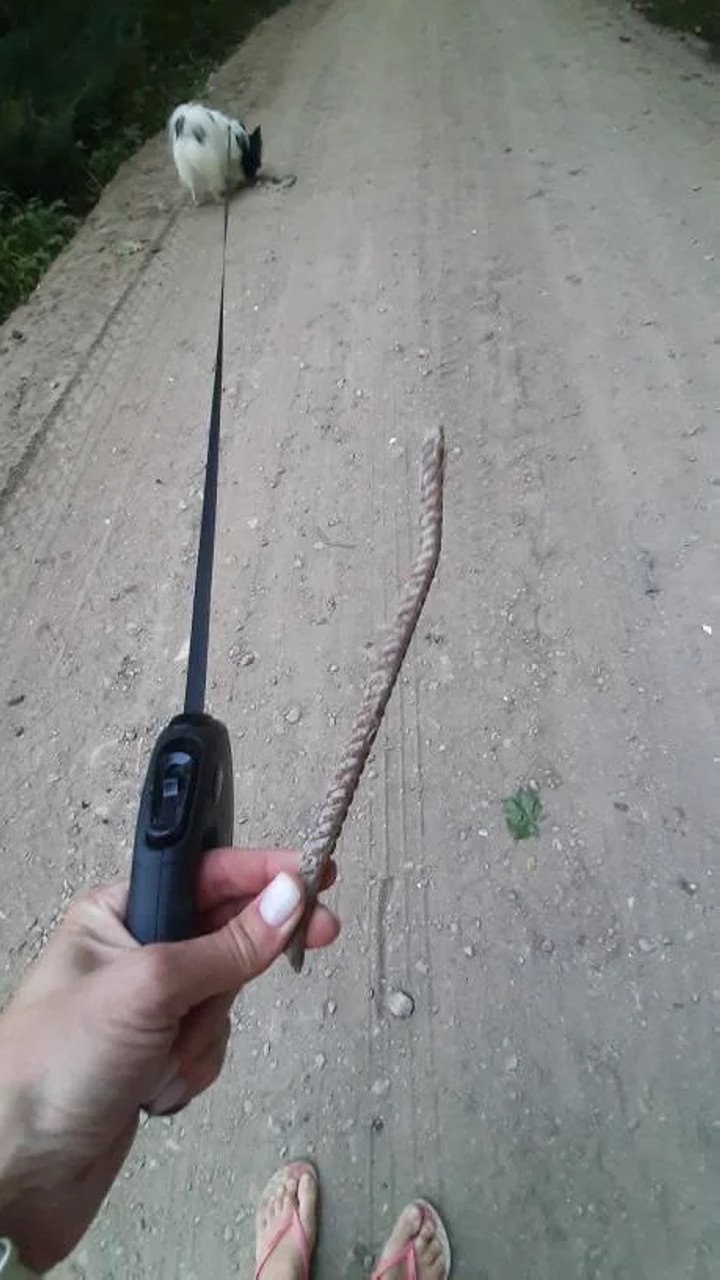 Дорогу усыпали щебнем с кусками арматуры. Автомобилисты не оценили ноу-хау