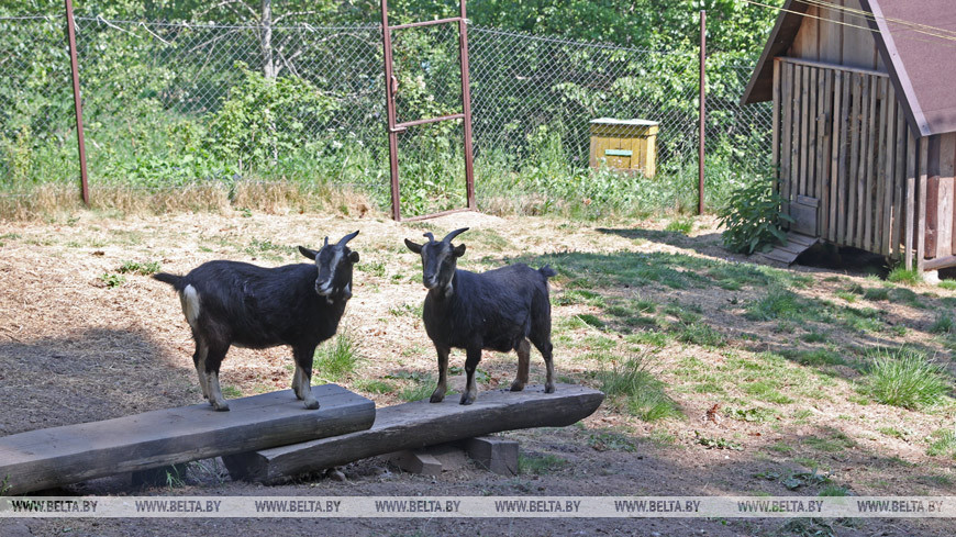 Что проверяют в агроусадьбах и кого перерегистрируют? Посмотрели, как работает комиссия