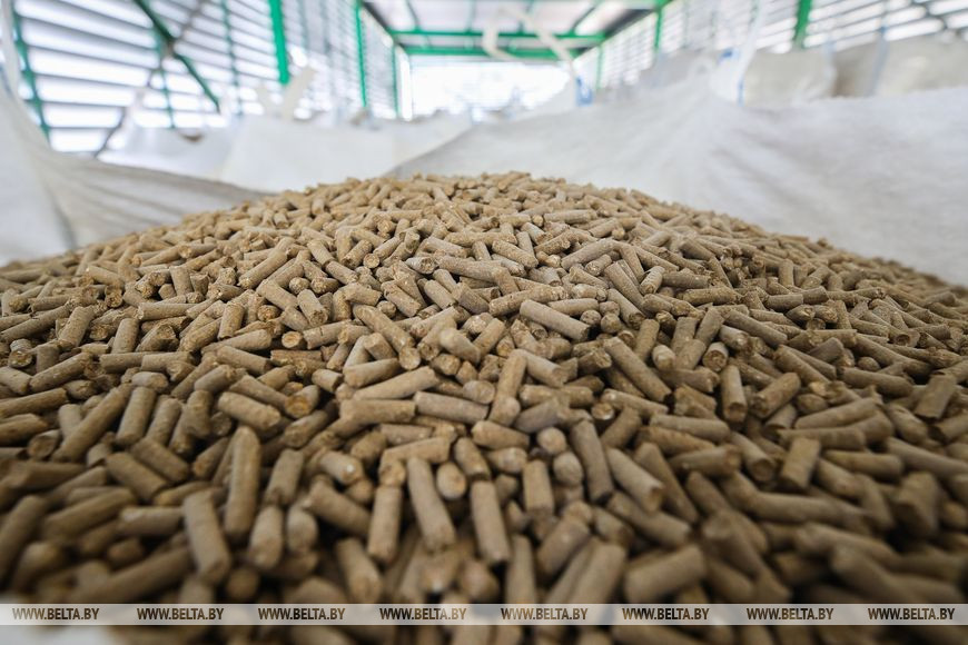 Брестская область. На «Белсолоде» запустили новую установку за 1,5 млн рублей