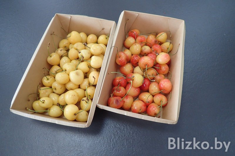 Купили и попробовали самую дорогую черешню на Комаровке: Она стоит в 5 раз больше обычной