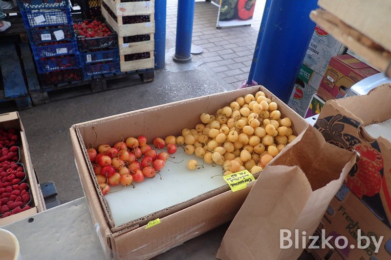 Купили и попробовали самую дорогую черешню на Комаровке: Она стоит в 5 раз больше обычной