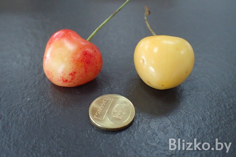 Купили и попробовали самую дорогую черешню на Комаровке: Она стоит в 5 раз больше обычной