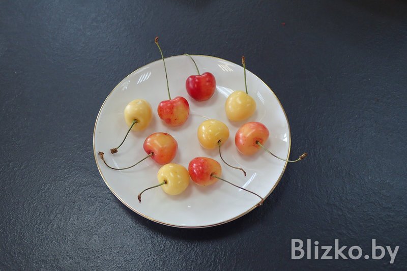 Купили и попробовали самую дорогую черешню на Комаровке: Она стоит в 5 раз больше обычной