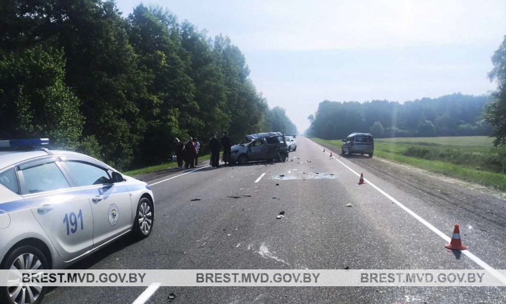 Житель Германии погиб в ДТП в Пинском районе
