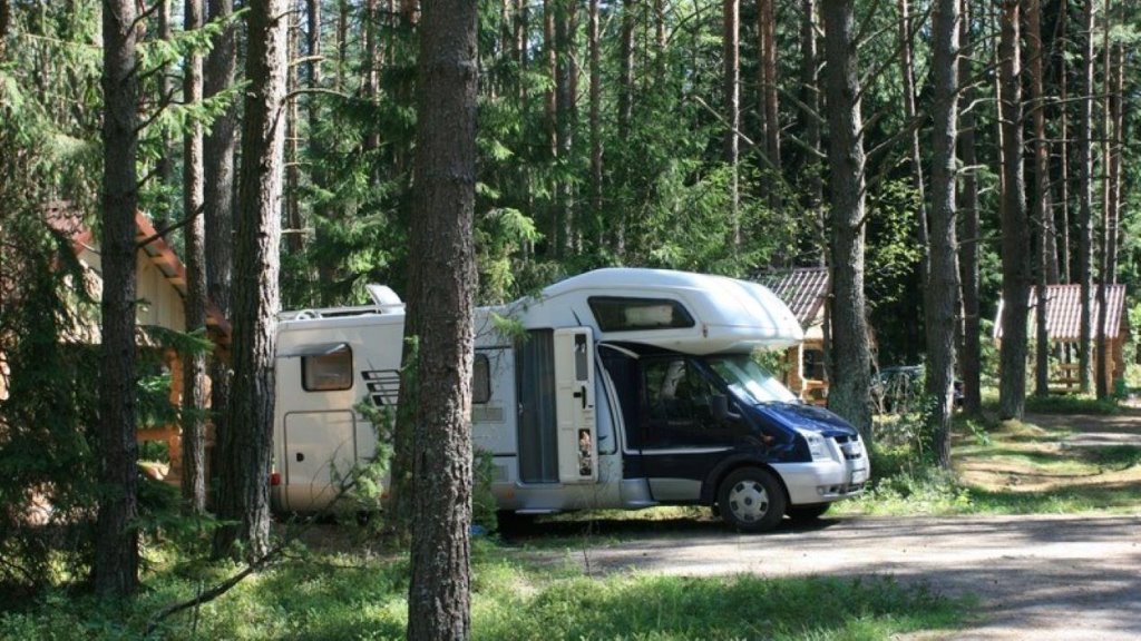 Сколько стоит отдых на Нарочи и Браславских озерах? Обзор цен на белорусских курортах