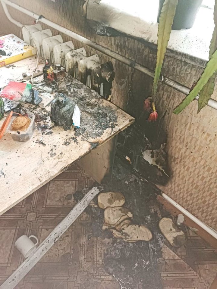 В Пинском районе женщина тушила пожар и получила ожоги