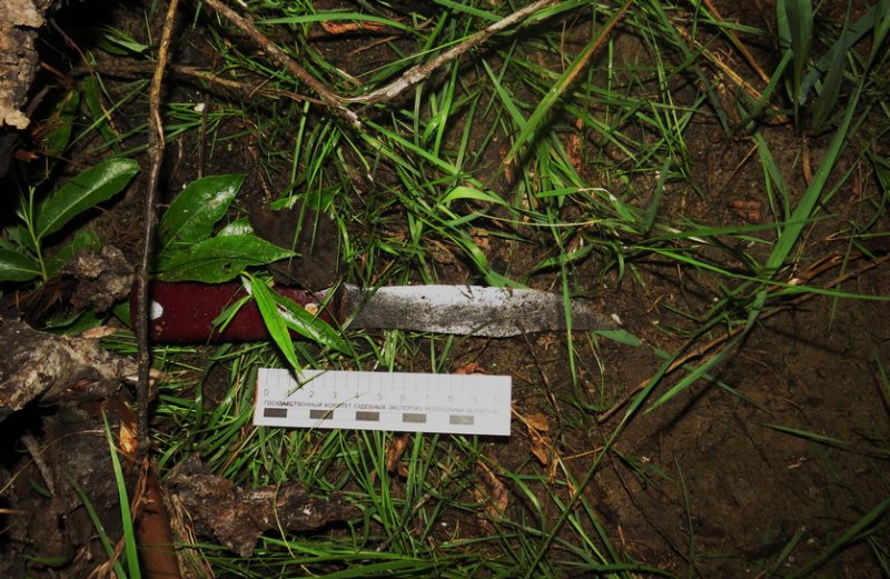 В Мозыре конфликт из-за «клевого места» привел к убийству рыбака