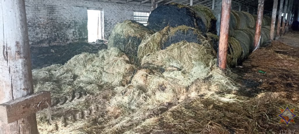 Более 90 тонн сена спасли работники МЧС и хозяйства на пожаре в Столинском районе
