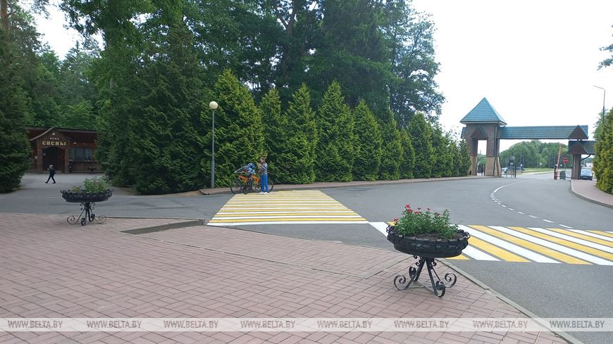 Лето, велосипед и заповедный лес, или За «экологическим детоксом» в Беловежскую пущу