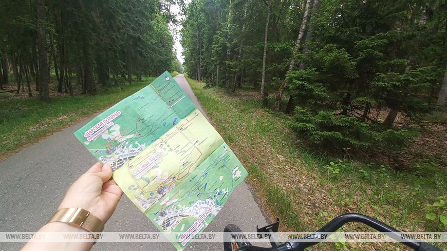 Лето, велосипед и заповедный лес, или За «экологическим детоксом» в Беловежскую пущу