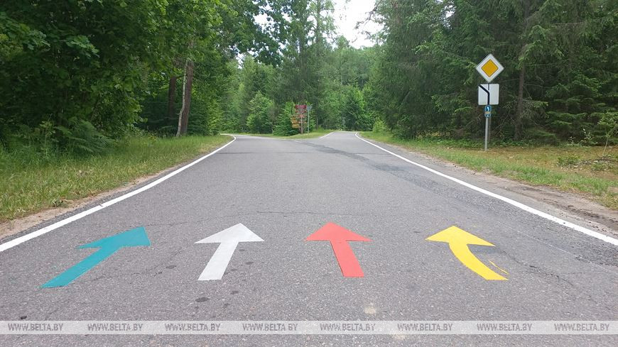 Лето, велосипед и заповедный лес, или За «экологическим детоксом» в Беловежскую пущу