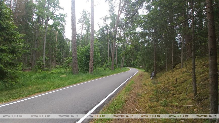 Лето, велосипед и заповедный лес, или За «экологическим детоксом» в Беловежскую пущу