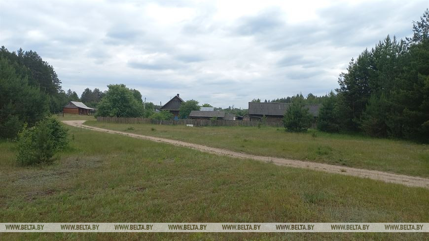 Лето, велосипед и заповедный лес, или За «экологическим детоксом» в Беловежскую пущу