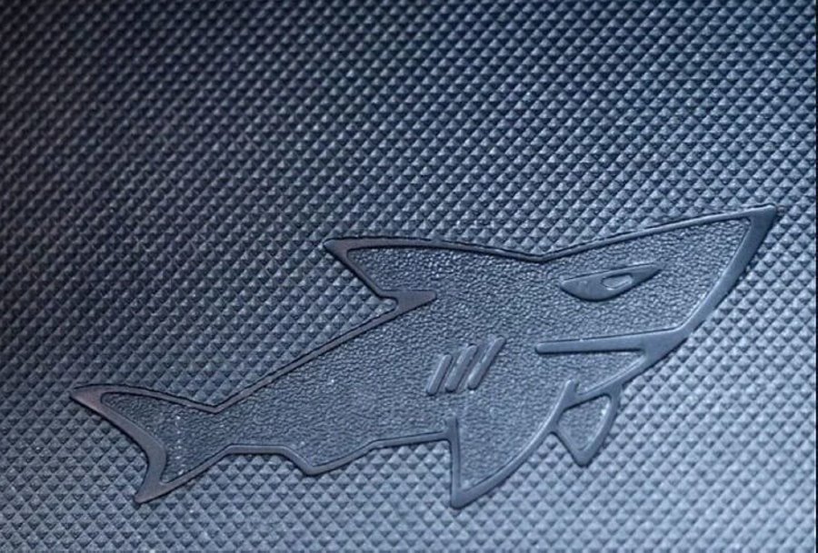 10 фактов про животных, о которых вы могли не знать