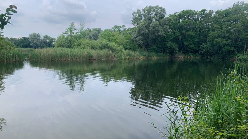 Ударился и потерял сознание. В Бресте на Кирпичных озерах спасли ребенка