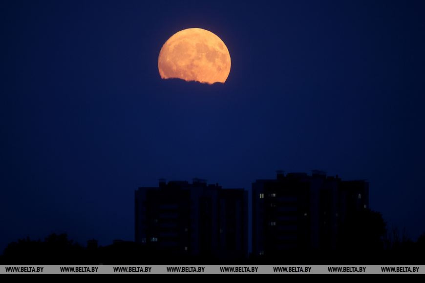Сегодня ночью белорусы наблюдали в небе первое в этом году суперлуние