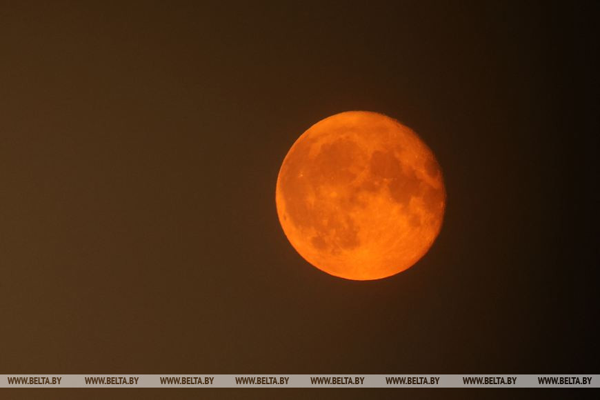Сегодня ночью белорусы наблюдали в небе первое в этом году суперлуние