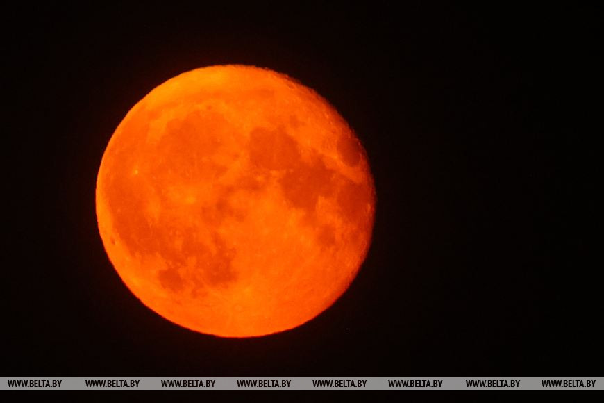 Сегодня ночью белорусы наблюдали в небе первое в этом году суперлуние
