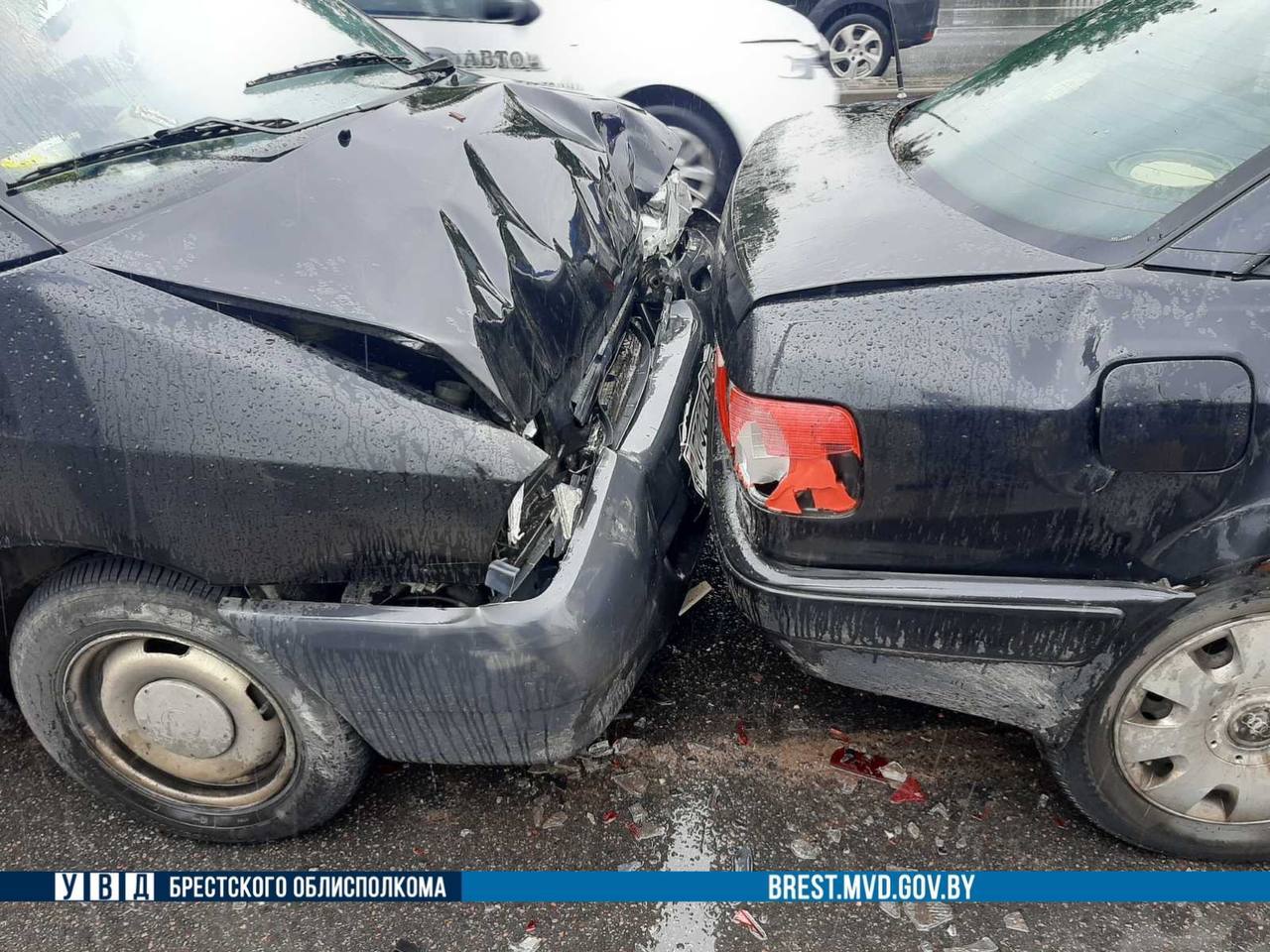 «Паровозик» из четырех машин в городе Бресте