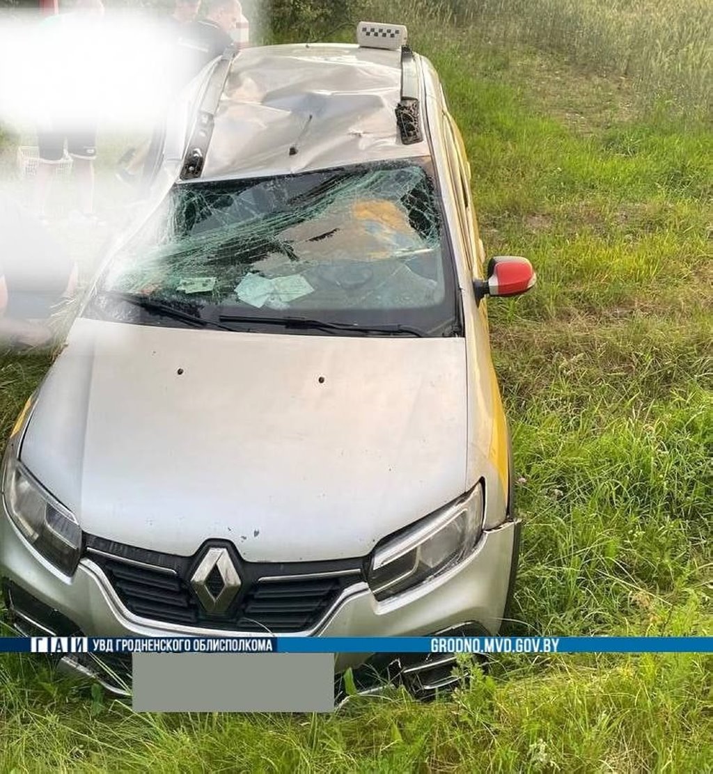 Таксист пытался объехать барсука и вылетел в кювет