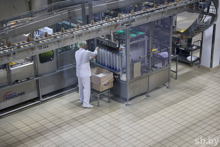 В Березе откроют самое крупное производство сыров на постсоветском пространстве