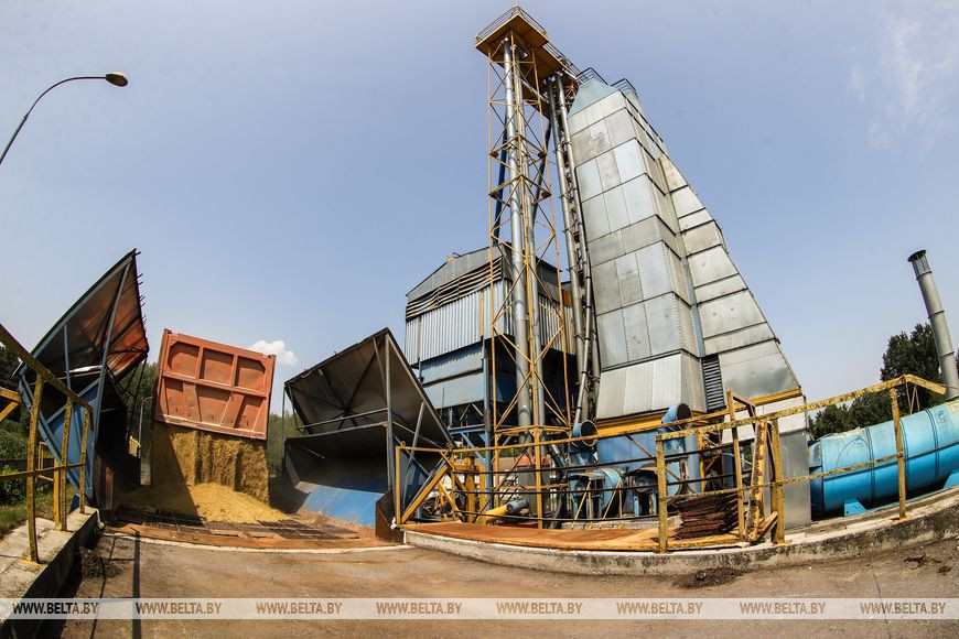 «Стараемся на деле проявлять заботу о людях», или Как в Кобринском районе начали жатву