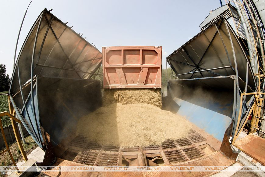 «Стараемся на деле проявлять заботу о людях», или Как в Кобринском районе начали жатву