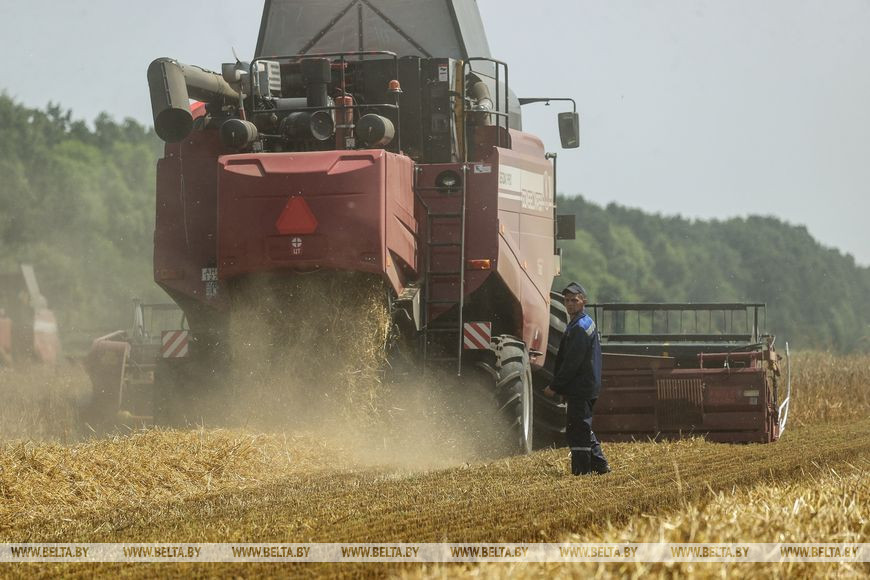 «Стараемся на деле проявлять заботу о людях», или Как в Кобринском районе начали жатву