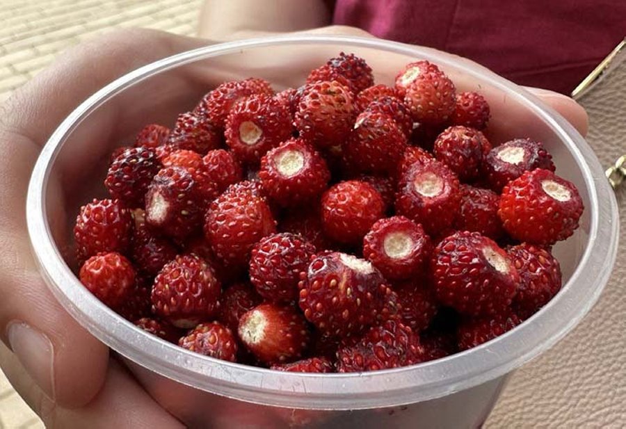 Если стакан земляники стоит 15 рублей, то сколько выйдет за килограмм? Посчитали