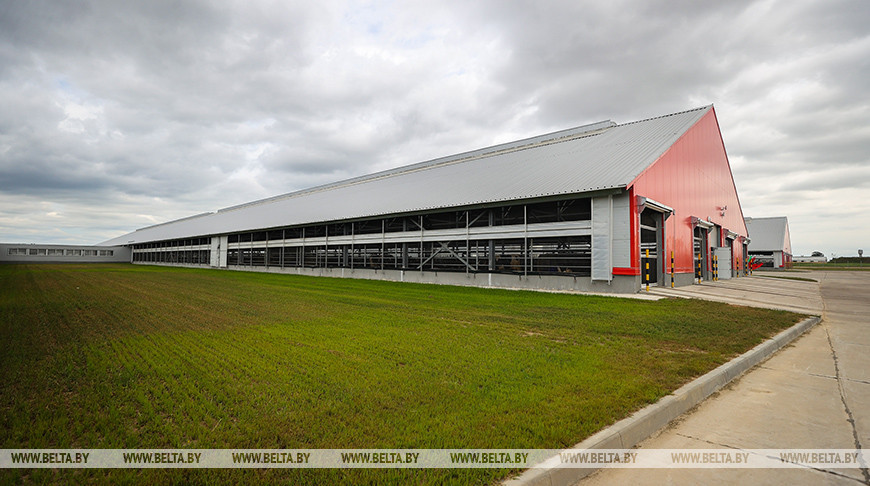 Высокотехнологичный молочно-товарный комплекс на 1 тыс. голов открыли в Пружанском районе