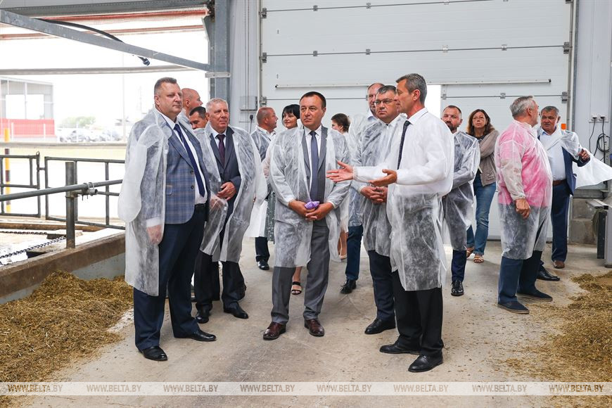 Высокотехнологичный молочно-товарный комплекс на 1 тыс. голов открыли в Пружанском районе