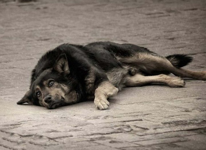 Фото из открытых источников (иллюстративное)