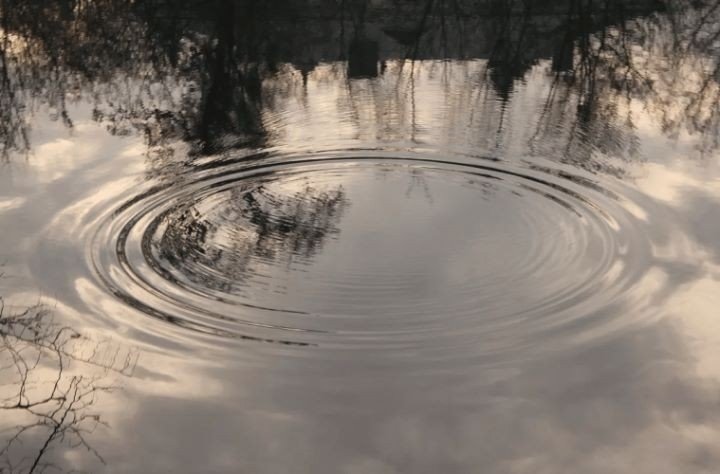 Прыгнул «щучкой» и сломал шею: мужчина умер на глазах у детей