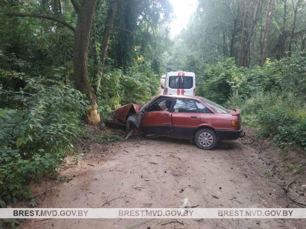 Пьяный житель Каменецкого района совершил ДТП