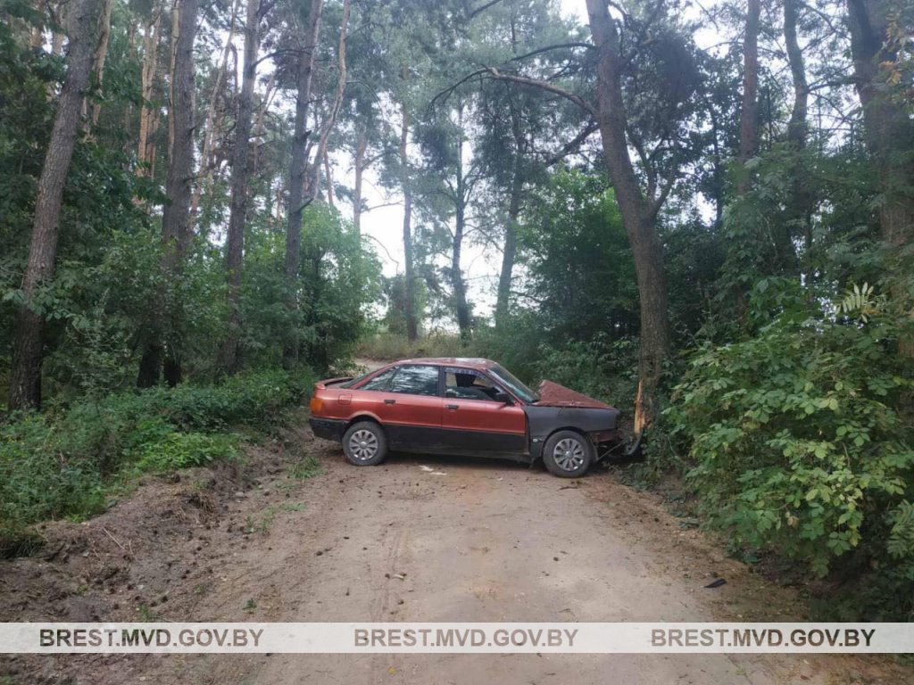 Пьяный житель Каменецкого района совершил ДТП