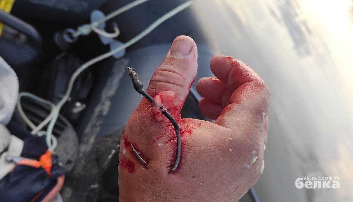 Рыбак из Гомеля сам попал на крючок. Фото не для впечатлительных